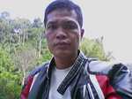 Ardi